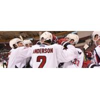 South Carolina Stingrays celebrate a goal
