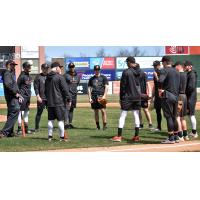Long Island Ducks in Spring Training