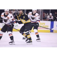 Lehigh Valley Phantoms vs. the Providence Bruins