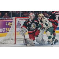 Grand Rapids Griffins battle the Iowa Wild
