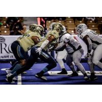 Massachusetts Pirates in action