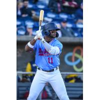 Luis Aviles Jr. at bat for the Pensacola Blue Wahoos