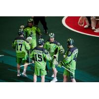 Saskatchewan Rush celebrate a goal
