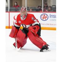 Belleville Senators goaltender Filip Gustavsson
