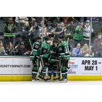 Texas Stars and their fans after a goal against the Chicago Wolves