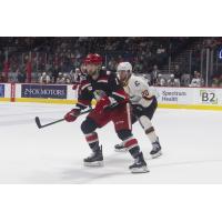 Grand Rapids Griffins battle the Cleveland Monsters
