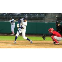 Tri-City Dust Devils catcher Christian Molfetta