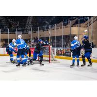Roanoke Rail Yard Dawgs winger Mac Jansen reacts after a goal