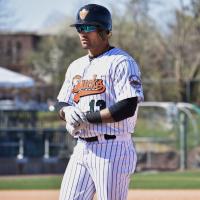 L.J. Mazzilli of the Long Island Ducks