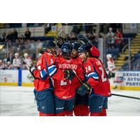 Springfield Thunderbirds celebrate a goal against the Charlotte Checkers