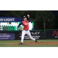 Charleston RiverDogs pitcher Logan Workman