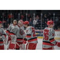 Grand Rapids Griffins celebrate a win