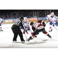 Belleville Senators center Andrew Agozzino faces off with the Rochester Americans