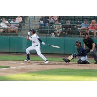 Tri-City Dust Devils infielder Kyle Kasser