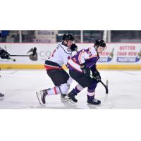 Reading Royals defenseman Mason Millman (right) vs. the Adirondack Thunder