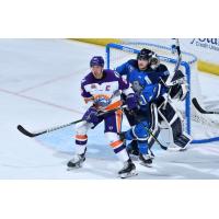 Jacksonville Icemen defenseman Victor Hadfield (middle) battles the Orlando Solar Bears