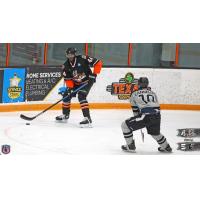 Danbury Hat Tricks defenseman Steve Brown vs. the Delaware Thunder