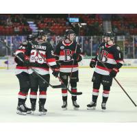 Belleville Senators gather after a goal against the Utica Comets