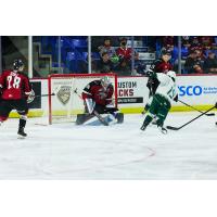 Vancouver Giants goaltender Jesper Vikman vs. the Everett Silvertips