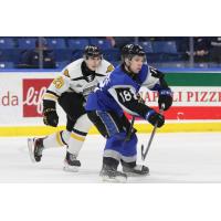 Saint John Sea Dogs centre Josh Lawrence