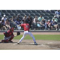 Fayetteville Woodpeckers outfielder Joey Loperfido at the plate
