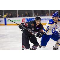 Stepan Timofeyev of the Knoxville Ice Bears vs. the Roanoke Rail Yard Dawgs