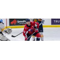 South Carolina Stingrays forward Andrew Cherniwchan