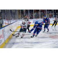 Springfield Thunderbirds right wing Will Bitten along the boards against the Rochester Americans