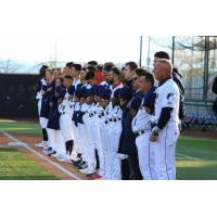 Tri-City Dust Devils line up for the National Anthem