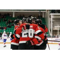 Belleville Senators gather after a goal against the Laval Rocket