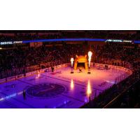 Toledo Walleye pregame