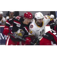 Grand Rapids Griffins left wing Dennis Yan (left) vs. the Chicago Wolves