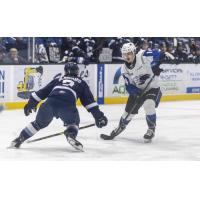 Saint John Sea Dogs centre Ryan Francis (right) vs. the Sherbrooke Phoenix