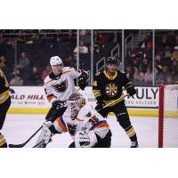 Lehigh Valley Phantoms goaltender Pat Nagle vs. the Providence Bruins
