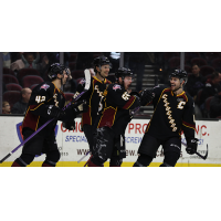 Cleveland Monsters react after a goal against the Utica Comets