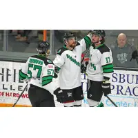 Binghamton Black Bears huddle up