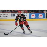 Grand Rapids Griffins right wing Riley Barber