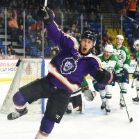 Reading Royals react after a goal against the Maine Mariners