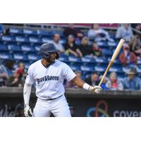 Jerar Encarnacion at bat for the Pensacola Blue Wahoos