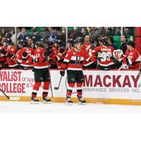 Belleville Senators exchange high fives along the bench