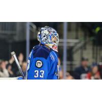 Jacksonville Icemen goaltender Francois Brassard