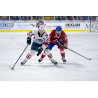 Springfield Thunderbirds forward Peter Crinella