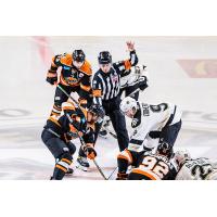 Wheeling Nailers vs. the Fort Wayne Komets