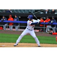 Daniel Palka had a home run, double, single, and five RBIs for the Syracuse Mets in a 10-8 win on Thursday night