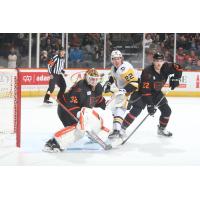 Lehigh Valley Phantoms goaltender Felix Sandström