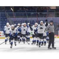 Saint John Sea Dogs salute the fans