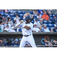 Jerar Encarnacion at bat for the Pensacola Blue Wahoos