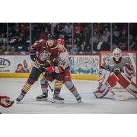 Grand Rapids Griffins defenseman Dan Renouf battles the Chicago Wolves