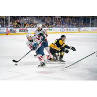 Springfield Thunderbirds control the puck