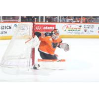 Lehigh Valley Phantoms goaltender Felix Sandström